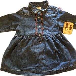 Wrangler Blue Denim Dress with Embroidery